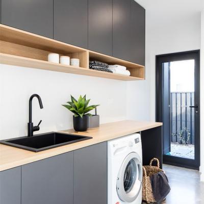 Modern Style Lacquer Finished Laundry Room Closet - យ៉ាលីក
