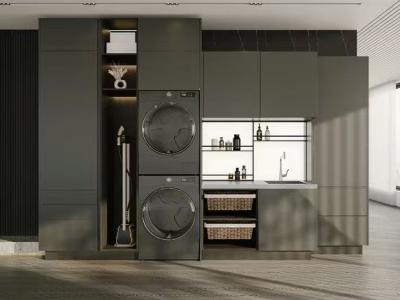  Modern Minimalist Style Matte Gray Series Laundry Cabinet